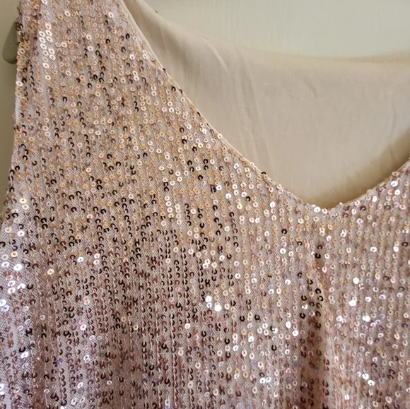 CLEARANCE LOFT Sequin Sleeveless Top - Rose Gold - Picture 2 of 13